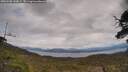 ./images/calvert/fitz-hugh-hecate/20250508/fitz-hugh-hecate20250508_144009M.jpg