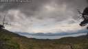 ./images/calvert/fitz-hugh-hecate/20250508/fitz-hugh-hecate20250508_145512M.jpg
