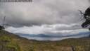./images/calvert/fitz-hugh-hecate/20250508/fitz-hugh-hecate20250508_151510M.jpg