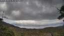 ./images/calvert/fitz-hugh-hecate/20250508/fitz-hugh-hecate20250508_152508M.jpg