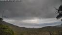 ./images/calvert/fitz-hugh-hecate/20250508/fitz-hugh-hecate20250508_153009M.jpg