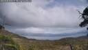 ./images/calvert/fitz-hugh-hecate/20250508/fitz-hugh-hecate20250508_153507M.jpg