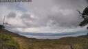 ./images/calvert/fitz-hugh-hecate/20250508/fitz-hugh-hecate20250508_154009M.jpg