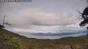 ./images/calvert/fitz-hugh-hecate/20250508/fitz-hugh-hecate20250508_155010M.jpg