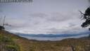 ./images/calvert/fitz-hugh-hecate/20250508/fitz-hugh-hecate20250508_155508M.jpg