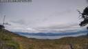./images/calvert/fitz-hugh-hecate/20250508/fitz-hugh-hecate20250508_160509M.jpg