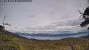 ./images/calvert/fitz-hugh-hecate/20250508/fitz-hugh-hecate20250508_161010M.jpg