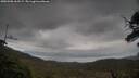 ./images/calvert/fitz-hugh-hecate/20250508/fitz-hugh-hecate20250508_163509M.jpg
