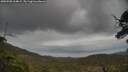 ./images/calvert/fitz-hugh-hecate/20250508/fitz-hugh-hecate20250508_164010M.jpg