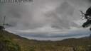 ./images/calvert/fitz-hugh-hecate/20250508/fitz-hugh-hecate20250508_164510M.jpg