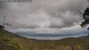 ./images/calvert/fitz-hugh-hecate/20250508/fitz-hugh-hecate20250508_165008M.jpg