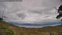 ./images/calvert/fitz-hugh-hecate/20250508/fitz-hugh-hecate20250508_165509M.jpg