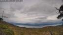 ./images/calvert/fitz-hugh-hecate/20250508/fitz-hugh-hecate20250508_170011M.jpg