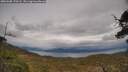 ./images/calvert/fitz-hugh-hecate/20250508/fitz-hugh-hecate20250508_170508M.jpg