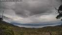 ./images/calvert/fitz-hugh-hecate/20250508/fitz-hugh-hecate20250508_172509M.jpg