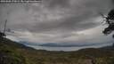 ./images/calvert/fitz-hugh-hecate/20250508/fitz-hugh-hecate20250508_173009M.jpg