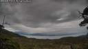 ./images/calvert/fitz-hugh-hecate/20250508/fitz-hugh-hecate20250508_173508M.jpg