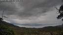 ./images/calvert/fitz-hugh-hecate/20250508/fitz-hugh-hecate20250508_174010M.jpg