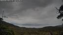 ./images/calvert/fitz-hugh-hecate/20250508/fitz-hugh-hecate20250508_174511M.jpg