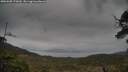 ./images/calvert/fitz-hugh-hecate/20250508/fitz-hugh-hecate20250508_175010M.jpg