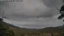 ./images/calvert/fitz-hugh-hecate/20250508/fitz-hugh-hecate20250508_175510M.jpg