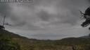 ./images/calvert/fitz-hugh-hecate/20250508/fitz-hugh-hecate20250508_180012M.jpg