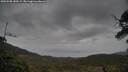 ./images/calvert/fitz-hugh-hecate/20250508/fitz-hugh-hecate20250508_180509M.jpg