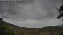 ./images/calvert/fitz-hugh-hecate/20250508/fitz-hugh-hecate20250508_181009M.jpg