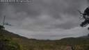 ./images/calvert/fitz-hugh-hecate/20250508/fitz-hugh-hecate20250508_181510M.jpg