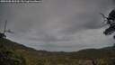 ./images/calvert/fitz-hugh-hecate/20250508/fitz-hugh-hecate20250508_182510M.jpg