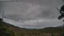 ./images/calvert/fitz-hugh-hecate/20250508/fitz-hugh-hecate20250508_183510M.jpg