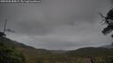 ./images/calvert/fitz-hugh-hecate/20250508/fitz-hugh-hecate20250508_184009M.jpg