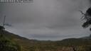 ./images/calvert/fitz-hugh-hecate/20250508/fitz-hugh-hecate20250508_184510M.jpg