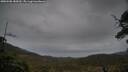 ./images/calvert/fitz-hugh-hecate/20250508/fitz-hugh-hecate20250508_185010M.jpg