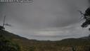 ./images/calvert/fitz-hugh-hecate/20250508/fitz-hugh-hecate20250508_185509M.jpg