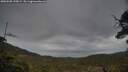 ./images/calvert/fitz-hugh-hecate/20250508/fitz-hugh-hecate20250508_190009M.jpg