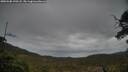 ./images/calvert/fitz-hugh-hecate/20250508/fitz-hugh-hecate20250508_190508M.jpg