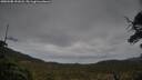 ./images/calvert/fitz-hugh-hecate/20250508/fitz-hugh-hecate20250508_191008M.jpg
