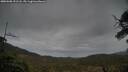 ./images/calvert/fitz-hugh-hecate/20250508/fitz-hugh-hecate20250508_191508M.jpg