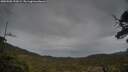 ./images/calvert/fitz-hugh-hecate/20250508/fitz-hugh-hecate20250508_192009M.jpg