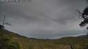 ./images/calvert/fitz-hugh-hecate/20250508/fitz-hugh-hecate20250508_192508M.jpg