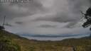 ./images/calvert/fitz-hugh-hecate/20250508/fitz-hugh-hecate20250508_200009M.jpg