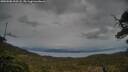 ./images/calvert/fitz-hugh-hecate/20250508/fitz-hugh-hecate20250508_200508M.jpg