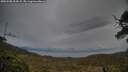 ./images/calvert/fitz-hugh-hecate/20250508/fitz-hugh-hecate20250508_202009M.jpg