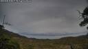 ./images/calvert/fitz-hugh-hecate/20250508/fitz-hugh-hecate20250508_203007M.jpg