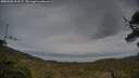 ./images/calvert/fitz-hugh-hecate/20250508/fitz-hugh-hecate20250508_203508M.jpg