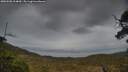 ./images/calvert/fitz-hugh-hecate/20250508/fitz-hugh-hecate20250508_204009M.jpg