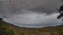 ./images/calvert/fitz-hugh-hecate/20250508/fitz-hugh-hecate20250508_204509M.jpg
