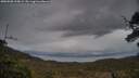 ./images/calvert/fitz-hugh-hecate/20250508/fitz-hugh-hecate20250508_210009M.jpg