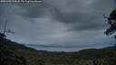 ./images/calvert/fitz-hugh-hecate/20250508/fitz-hugh-hecate20250508_212008M.jpg